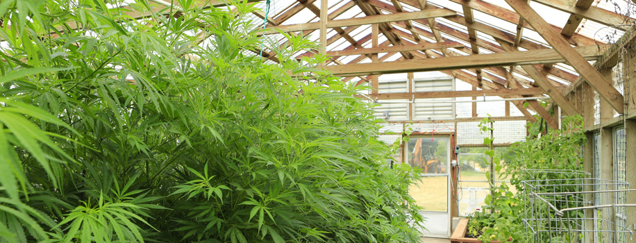 Security Solutions for Apartments in RIVERDALE, GA